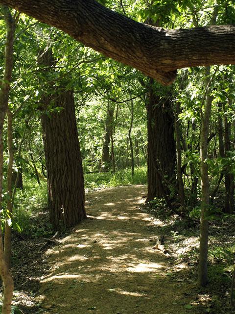 Wooded trail along the Colorado River at Lost Pines Nature Trails, Tahitian Village