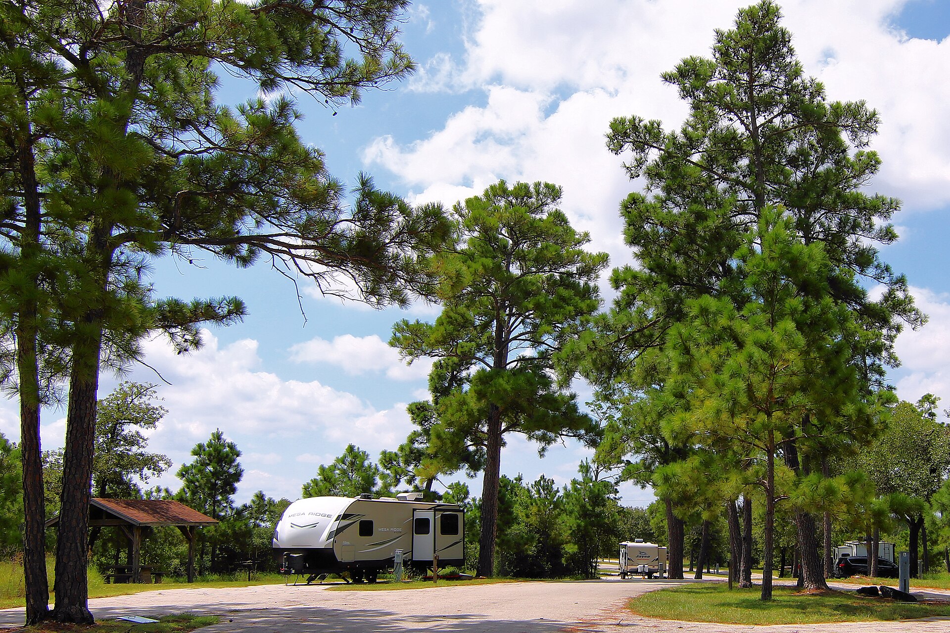 Bastrop State Park recreation area — trails and camping near The Colony