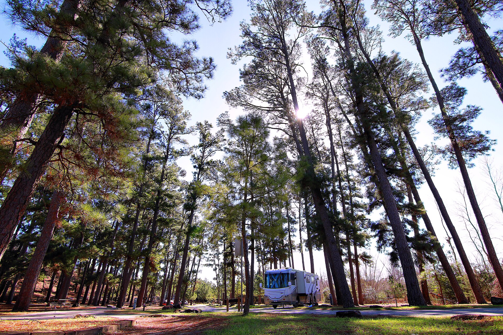 Copperas Creek camping area at Bastrop State Park — rural Bastrop County near Wyldwood